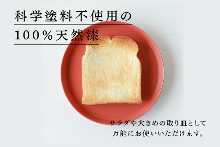 【RIN&CO.】越前硬漆 平皿M / 刷毛目技法 軽く丈夫な漆塗りの器＜越前漆器＞ノースグリーン（Ｎ-02） ノースグリーン（Ｎ-02）