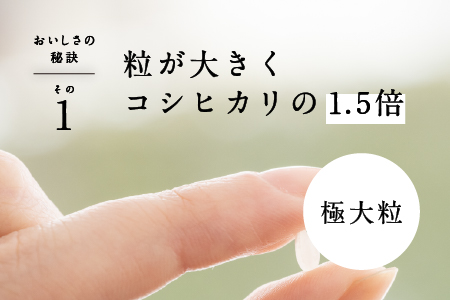 【令和7年産】ピロール農法 宝珠米 いのちの壱