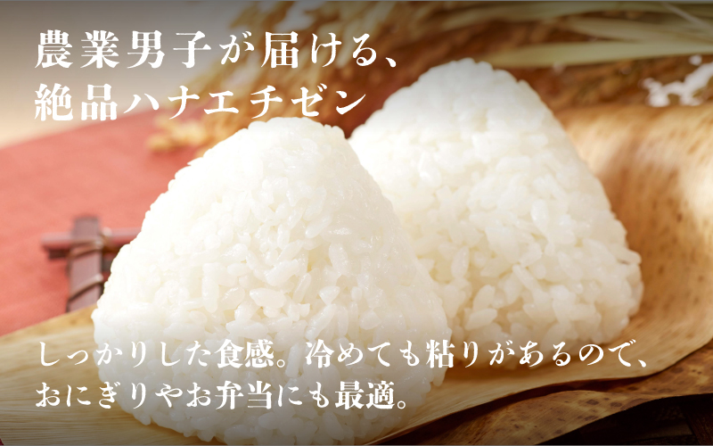 【数量限定！40袋限定販売！！】令和7年産　ハナエチゼン　通常便（1回配送）計10kg（5kg×2袋） 通常便（1回配送）計10kg（5kg×2袋）