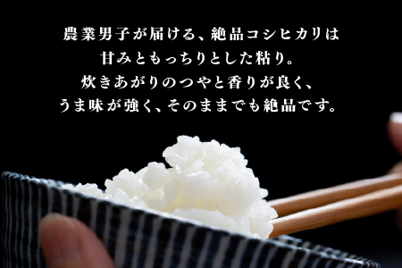 【数量限定！200袋限定販売！！】＜2025年11月以降 順次発送予定＞令和7年産 コシヒカリ 通常便（1回配送）計10kg（5kg×2袋） 通常便（1回配送）計10kg（5kg×2袋）