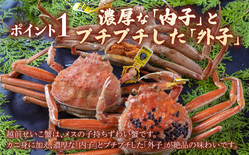 海鮮丼の具　越前せいこ蟹（タレ付き）　5人前 5人前