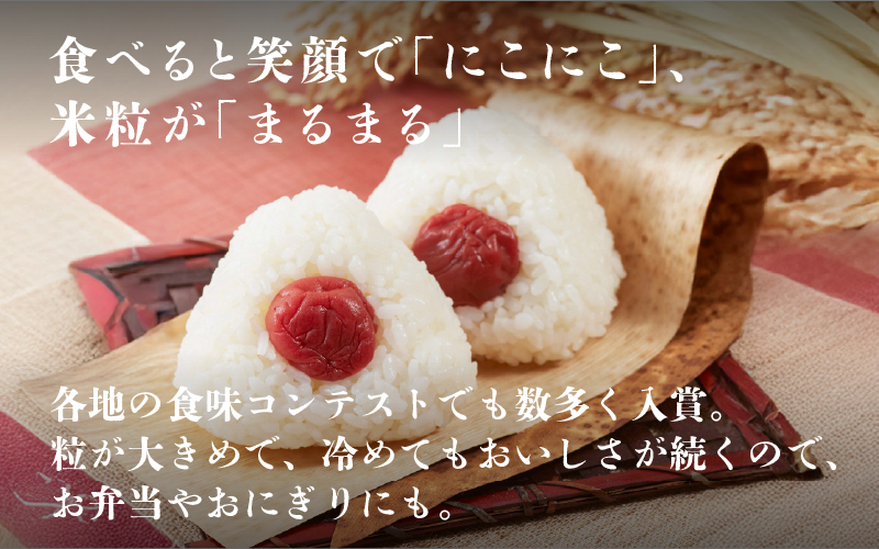 ＜2025年11月以降 順次発送予定＞令和7年産　にこまる　定期便（3ヶ月連続お届け）計30kg（(5kg × 2袋) × 3回） 定期便（3ヶ月連続お届け）計30kg（(5kg × 2袋) × 3回）