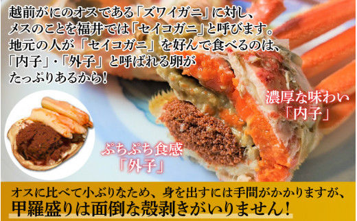 【特別価格期間延長！】【産地直送】福井冬の味覚！越前がに（ずわいがに800～900g 1杯） ＆ せいこ甲羅盛り3個 越前がに（ずわいがに800～900g 1杯） ＆ せいこ甲羅盛り3個