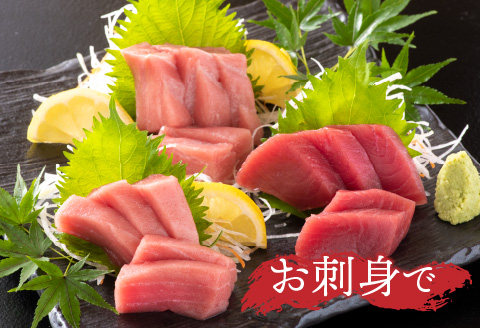 【定期便】【2ヶ月連続お届け】 刺身用！本マグロ堪能セット（柵どり）900g × 2回【最新の冷凍技術】