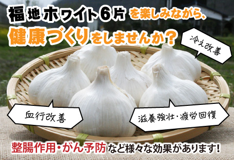 福井県鯖江市産 福地ホワイト6片 にんにく700g