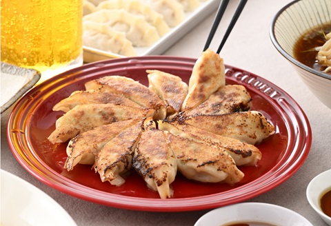 鹿児島県黒豚かしら肉使用 御園餃子 冷凍　手作りセット (餡500g、皮25枚)×2個