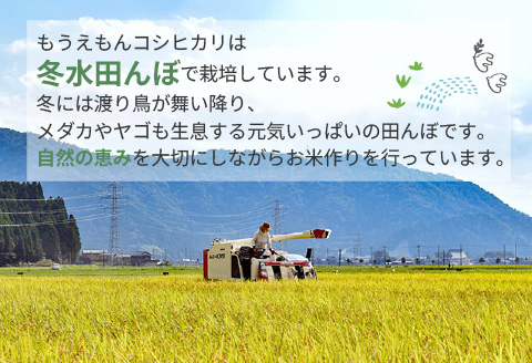 【R6年産】冬水田んぼ米コシヒカリ（5kg × 1袋）真空パック