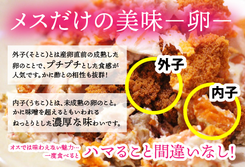 北陸の冬の味覚の王者！越前がに（メス）「せいこがに」150g前後 × 5杯