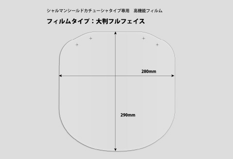 シャルマン シールドカチューシャ