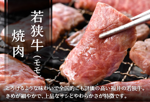 【福井県産米】いちほまれ5kg＆若狭牛焼肉400g