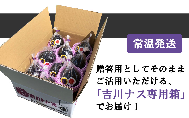 期間限定 吉川ナス 1箱（9個入）