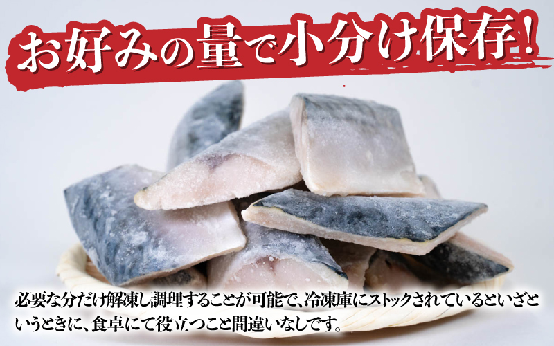 サバエのサバ！鯖 骨なし 無塩 冷凍切り身 600g 冷凍切り身 600g