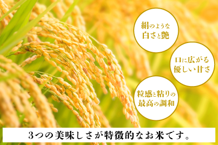 いちほまれセット 4kg（2kg×2）とパックご飯3食