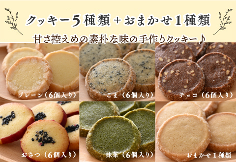 レアバウムクーヘンと手作りクッキー5種類＋おまかせ1種類 詰め合わせ