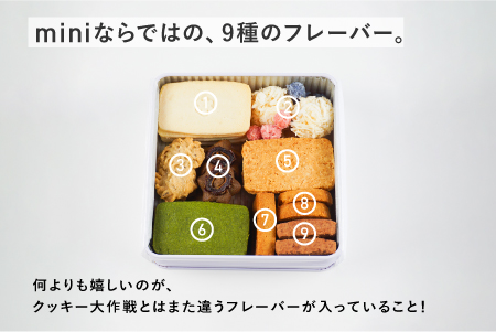 Keiku no クッキー大作戦--mini-- 【野尻ケイク】