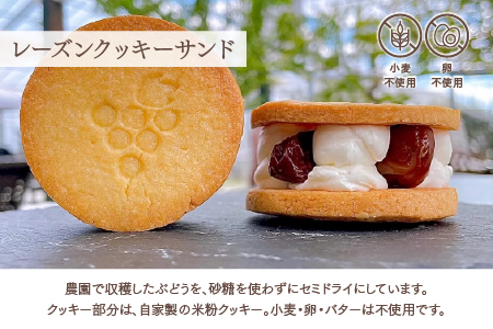 レーズンクッキーサンドとシフォンケーキのセット