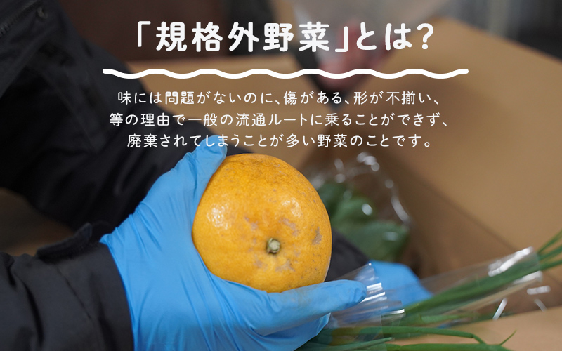 【2025年12月配送】多数のメディアで紹介されました！【訳あり】旬のもったいないお野菜詰め合わせセット