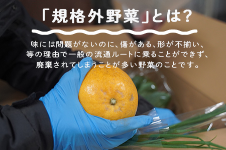 多数のメディアで紹介されました！【訳あり】旬のもったいないお野菜詰め合わせセット　Mサイズ Mサイズ