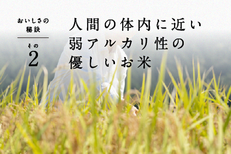 【令和7年産】ピロール農法 宝珠米 いのちの壱