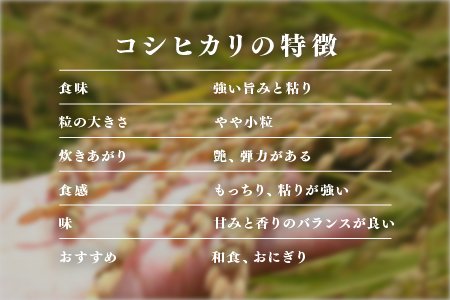 【数量限定！200袋限定販売！！】＜2025年11月以降 順次発送予定＞令和7年産 コシヒカリ 通常便（1回配送）計10kg（5kg×2袋） 通常便（1回配送）計10kg（5kg×2袋）
