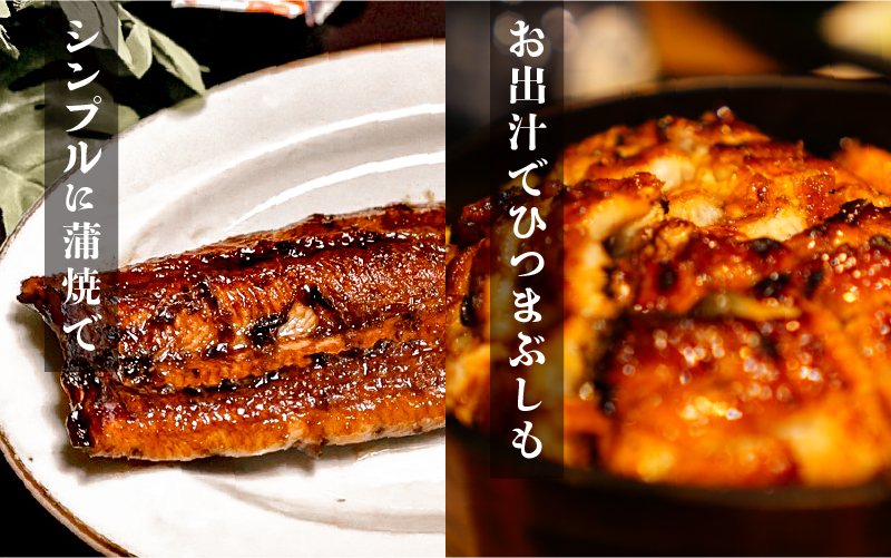 うなぎの蒲焼【特大サイズ２尾】 【特大サイズ2尾】