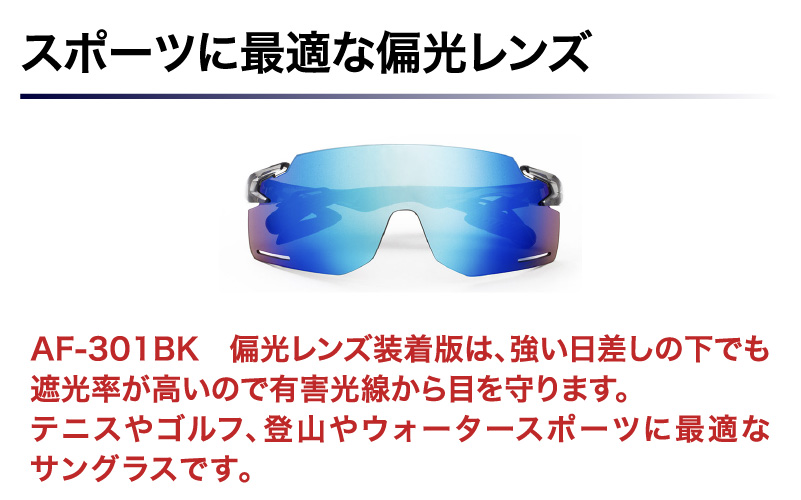 「エアフライ」AF-301BKモデル　偏光レンズ装着版 C-34 BKPBM  クリアーグレー クリアーグレー