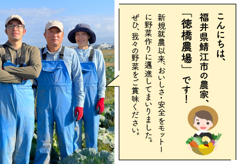 福井県鯖江市産 黒にんにく 60g × 3パック（計 180g）