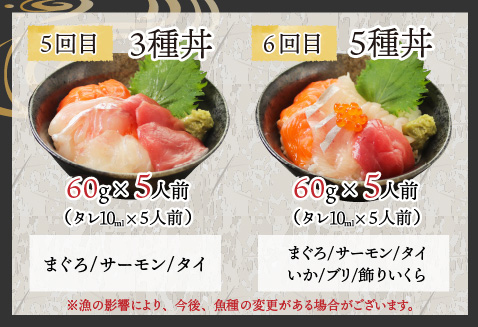 【6ヶ月連続お届け】【定期便】【刺身用】おまかせ海鮮丼の具 60g（タレ付）× 5人前 × 6回【最新の冷凍技術】