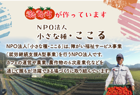 絶品！野菜のコクとうまみ 越のルビー トマト カレー 210g（袋入り）×5袋