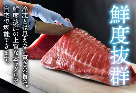 【刺身用】本マグロ 中トロ 1kg（柵どり）【最新の冷凍技術】 1kg