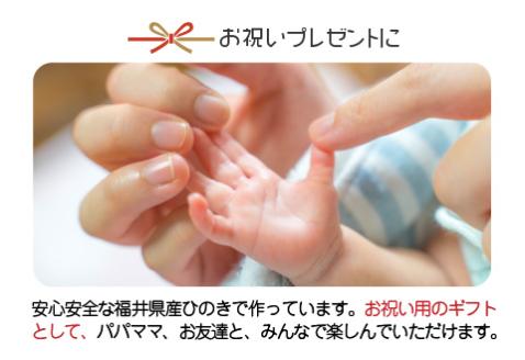 がおがお恐竜つみつみ ～ 全部で10頭！～ 福井県産ひのきの木のおもちゃ ～