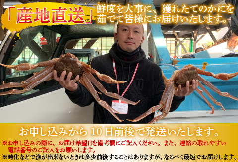 【特別価格期間延長！】【産地直送】福井冬の味覚！越前がに 1杯（900g～1.0kg） 越前がに 1杯（900g～1.0kg）