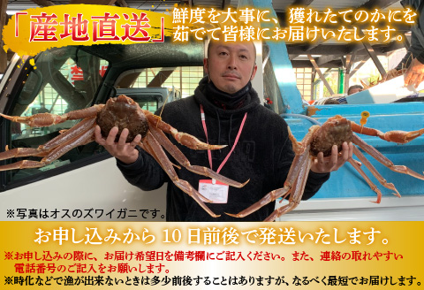 【特別価格期間延長！】【産地直送】冬の味覚！越前 せいこがに 甲羅盛 6個セット