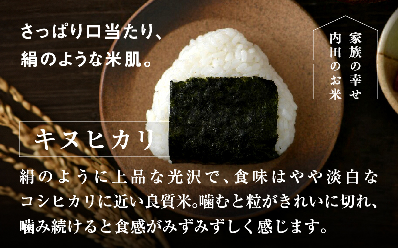 【令和7年産】福井県産 おしどり米 キヌヒカリ 5kg
