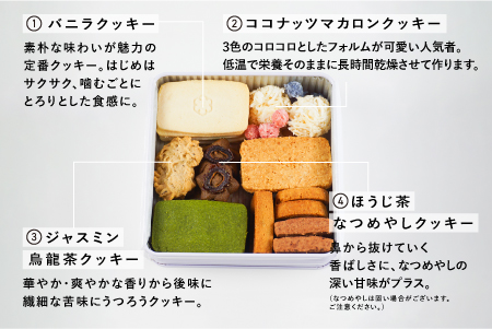 Keiku no クッキー大作戦--mini-- 【野尻ケイク】