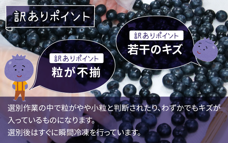 【訳あり】令和7年産〈冷凍〉手摘み有機ブルーベリー1.5kg（500g × 3パック） 1.5kg（500g × 3パック）