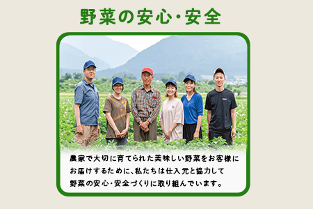 多数のメディアで紹介されました！【訳あり】旬のもったいないお野菜詰め合わせセット　Lサイズ Lサイズ