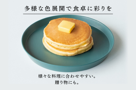 【RIN&CO.】越前硬漆 平皿M / 刷毛目技法 軽く丈夫な漆塗りの器＜越前漆器＞ノースグリーン（Ｎ-02） ノースグリーン（Ｎ-02）