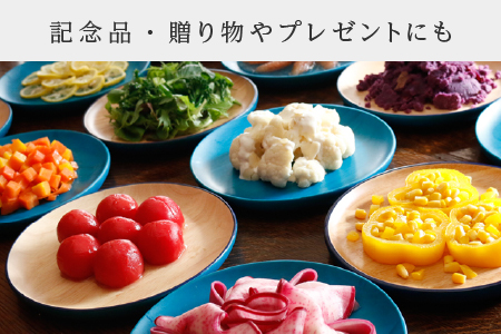 Kyutarou BLUE 両面丸皿 爽 爽