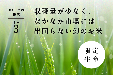 【令和7年産】ピロール農法 宝珠米 いのちの壱