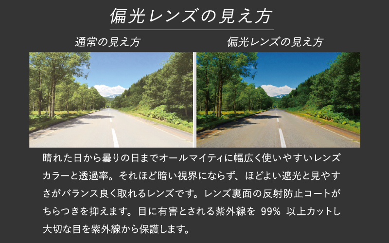 鼻パッドのないサングラス「エアフライ」＊男女兼用 スポーツカジュアル AF-402(偏光レンズ版) C-2PG クリアーアッシュ