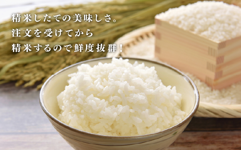 【令和7年産 新米！】【2025年11月以降 順次発送予定】にじのきらめき　定期便（3回配送）計30kg（5kg×2袋） 定期便（3回配送）計30kg（5kg×2袋）