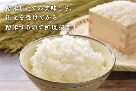 ＜2025年11月以降 順次発送予定＞令和7年産　コシヒカリ　定期便（3ヶ月連続お届け）計30kg（(5kg × 2袋) × 3回） 定期便（3ヶ月連続お届け）計30kg（(5kg × 2袋) × 3回）