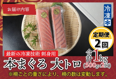 【定期便】【2ヶ月連続お届け】 刺身用！本マグロ大トロ（柵どり） 500g × 2回【最新の冷凍技術】