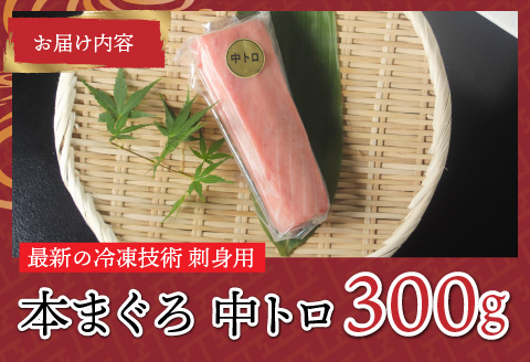 【刺身用】本マグロ 中トロ 300g（柵どり）【最新の冷凍技術】 300g