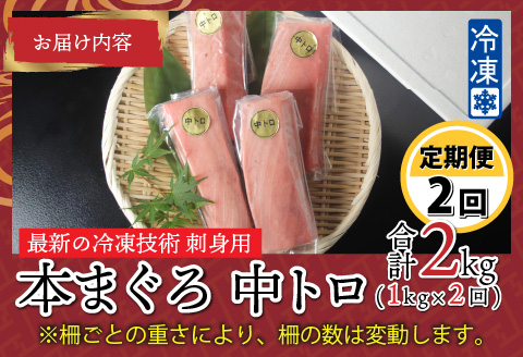 【定期便】【2ヶ月連続お届け】 刺身用！本マグロ 中トロ（柵どり）1kg × 2回【最新の冷凍技術】