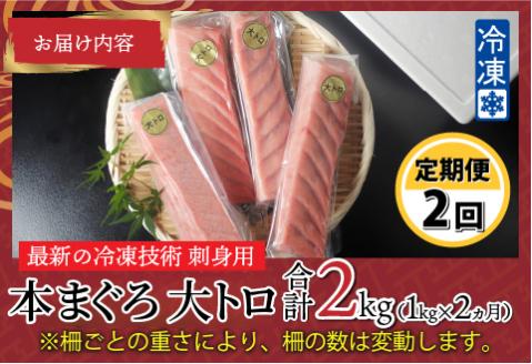 【定期便】【2ヶ月連続お届け】 刺身用！本マグロ大トロ（柵どり） 1kg × 2回【最新の冷凍技術】