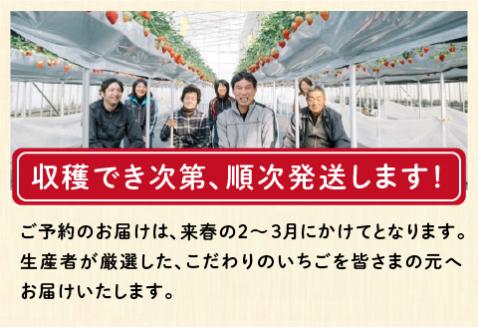 【先行予約】【2026年2月中旬以降順次配送】ふくおか農園の「雪国育ちのこだわりいちご」厳選おまかせ2種×2パックずつ（合計4パック） 【20個限定！】2026年3月15日まで受付中