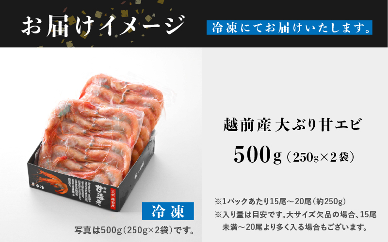 【選べる容量！】【小分け】越前産冷凍甘えび大サイズ 約250g × 2パック 合計約500g 500g（約250g × 2パック）