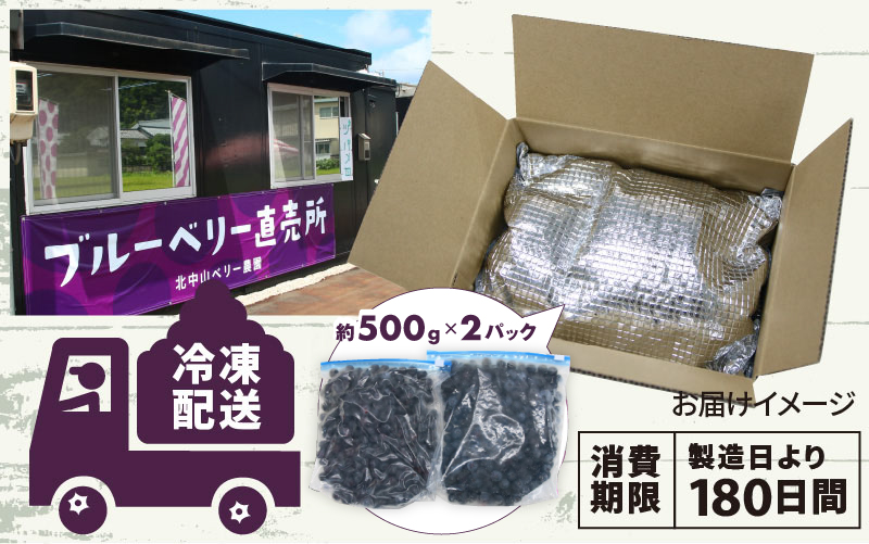 【訳あり】令和7年産〈冷凍〉手摘み有機ブルーベリー1kg（500g × 2パック） 1kg（500g × 2パック）